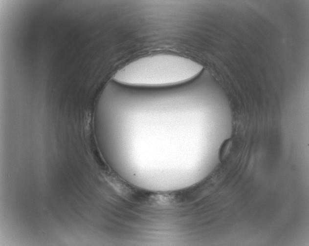 X0000069360660200605120918