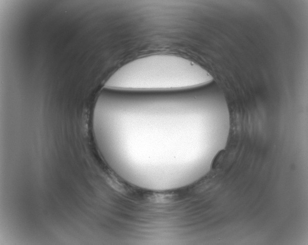 X0000069360664200605120918