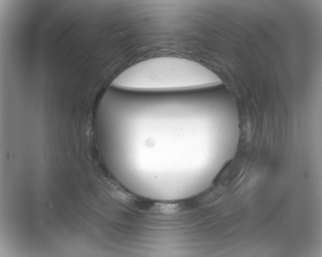 X0000069360665200605120918