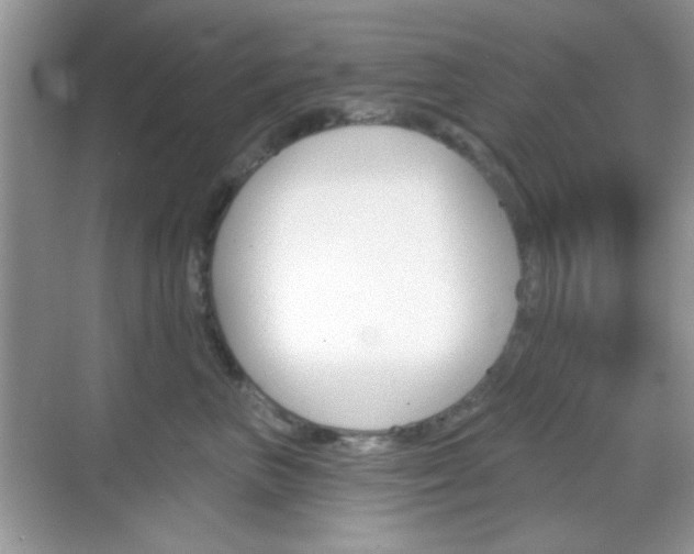 X0000069360667200605120918