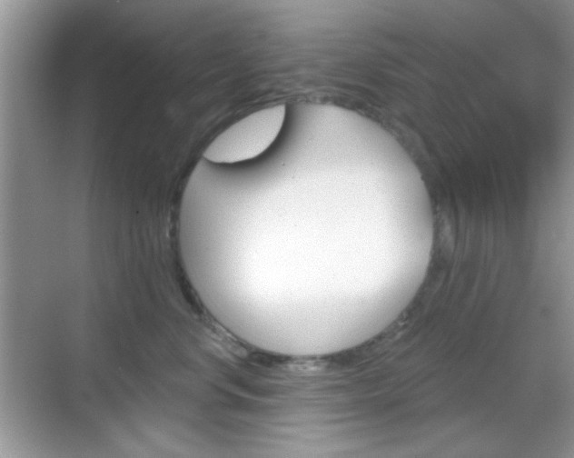 X0000069360668200605120918