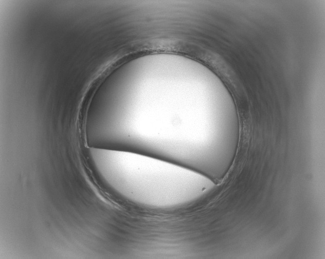 X0000069360674200605120917