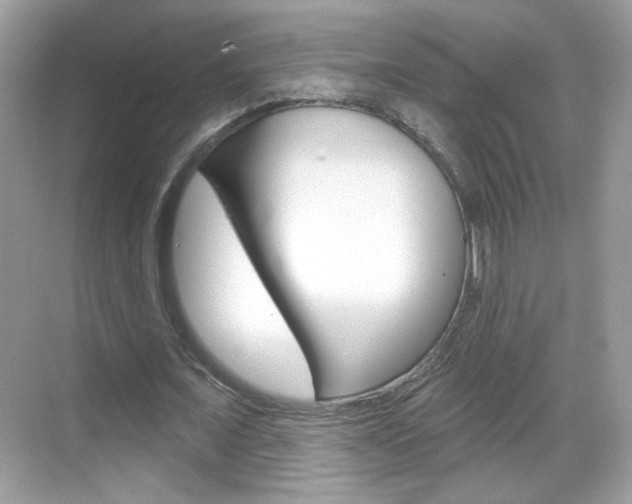 X0000069360675200605120917
