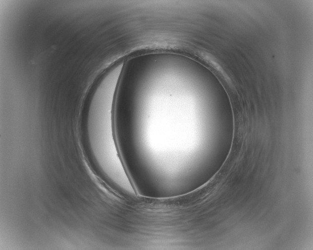 X0000069360677200605120917