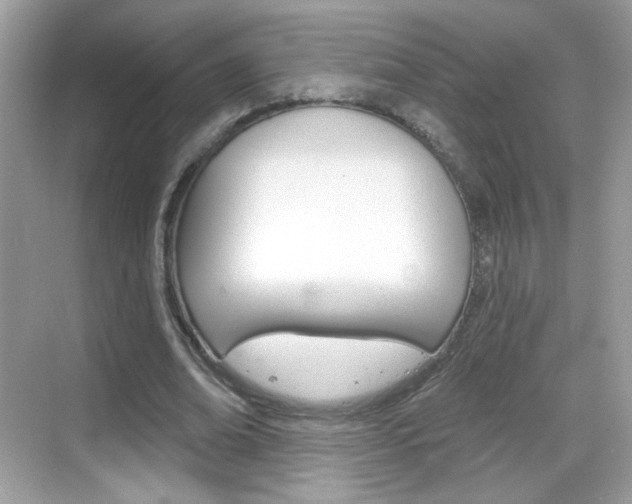 X0000069360678200605120917
