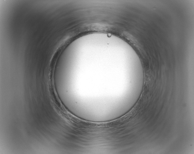 X0000069360679200605120917