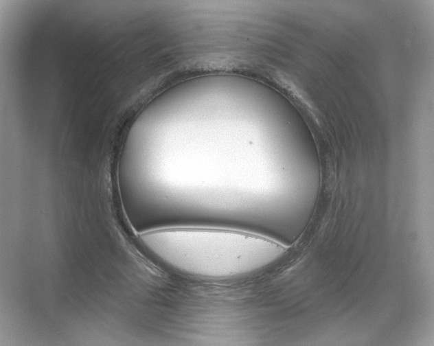 X0000069360681200605120917