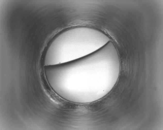 X0000069360682200605120917