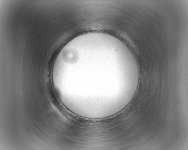 X0000069360683200605120917