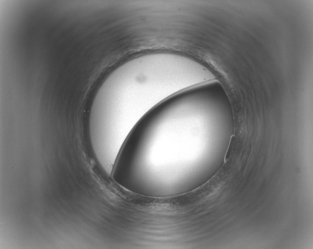 X0000069360685200605120917