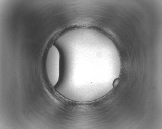 X0000069360686200605120917