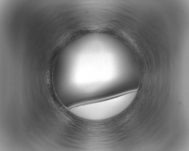 X0000069360689200605120917