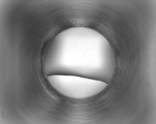 X0000069360690200605120917