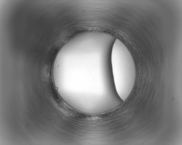 X0000069360695200605120917