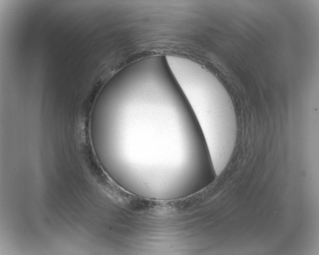 X0000069360696200605120917