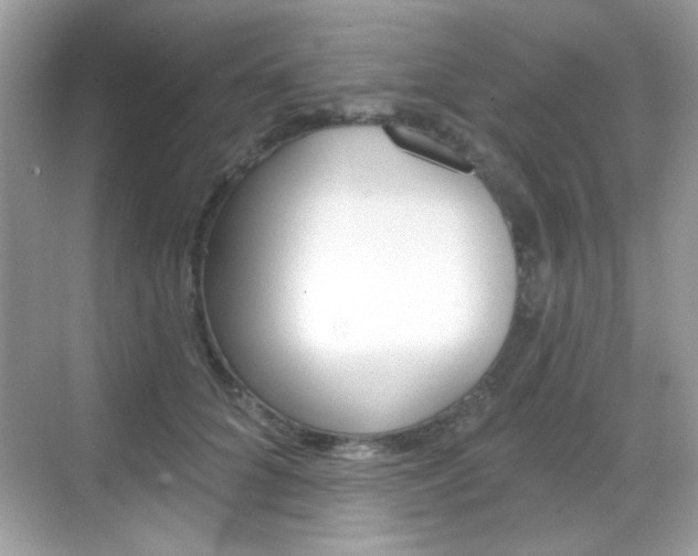 X0000069360704200605120916