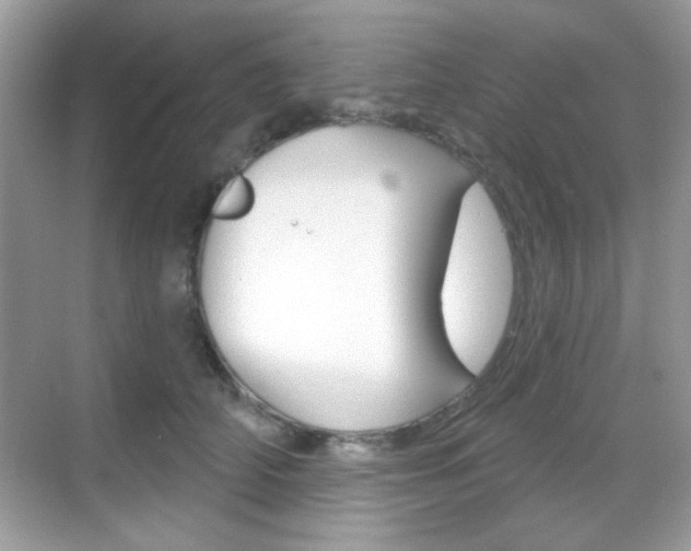 X0000069360706200605120916