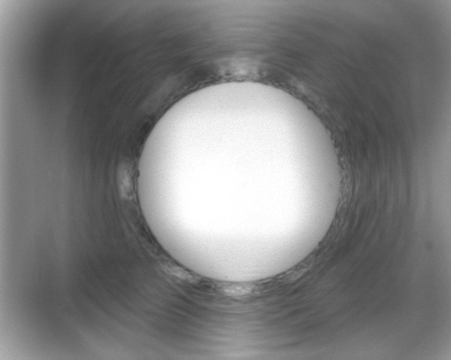 X0000069360709200605120916