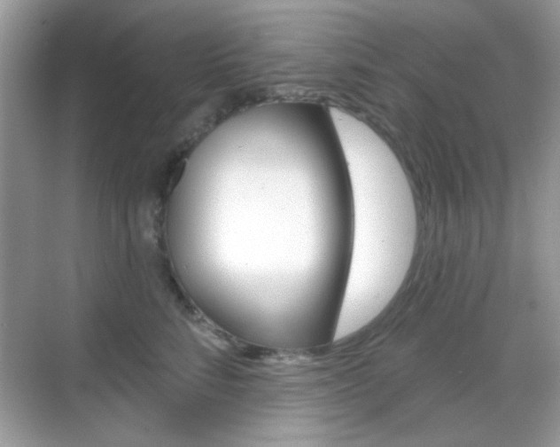 X0000069360712200605120916