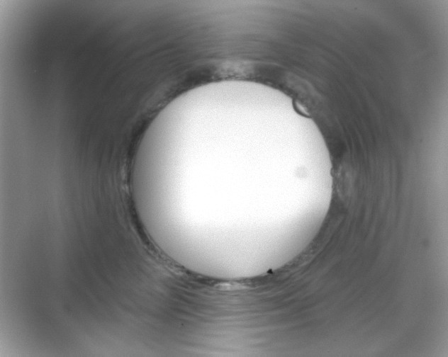 X0000069360714200605120916
