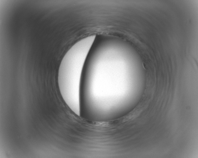X0000069360720200605120916