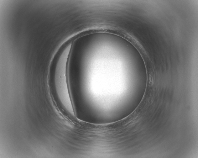 X0000069360724200605120915