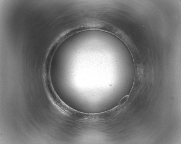 X0000069360726200605120915