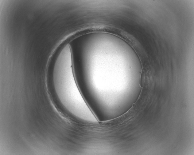 X0000069360728200605120915