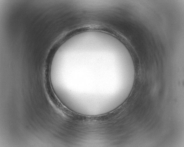 X0000069360730200605120915
