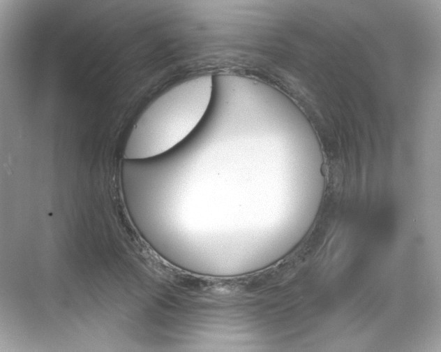 X0000069360737200605120916