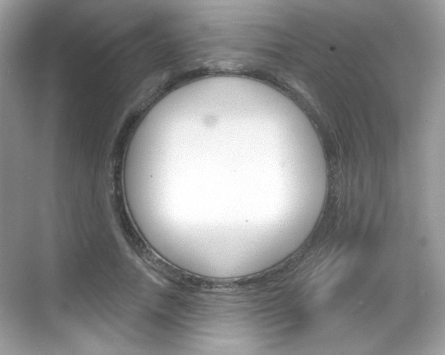 X0000069360738200605120916