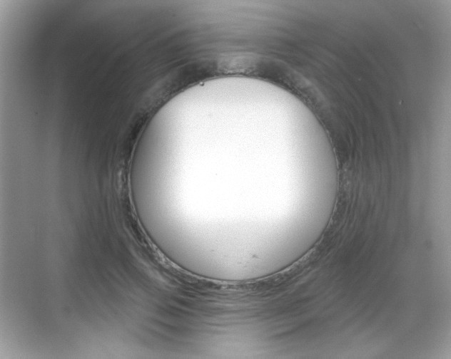 X0000069360741200605120916