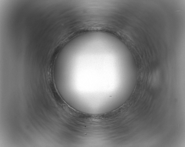 X0000069360743200605120916