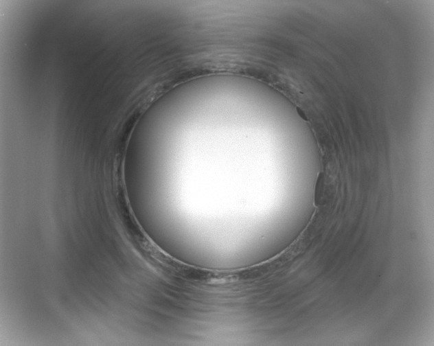 X0000069360744200605120916