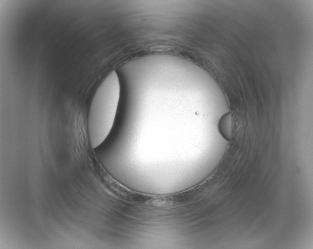 X0000069360745200605120916