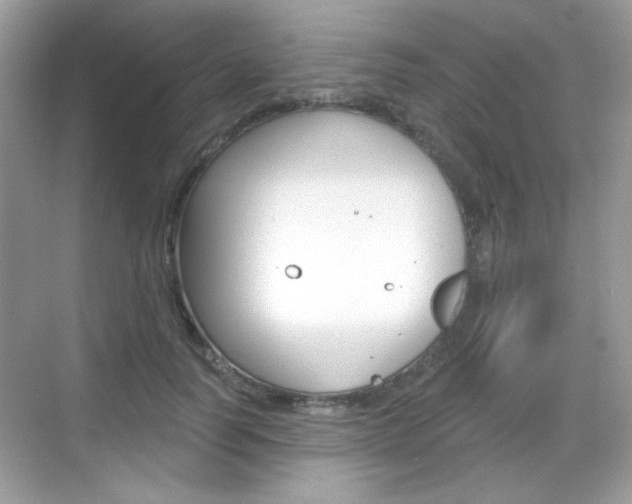 X0000069360746200605120916