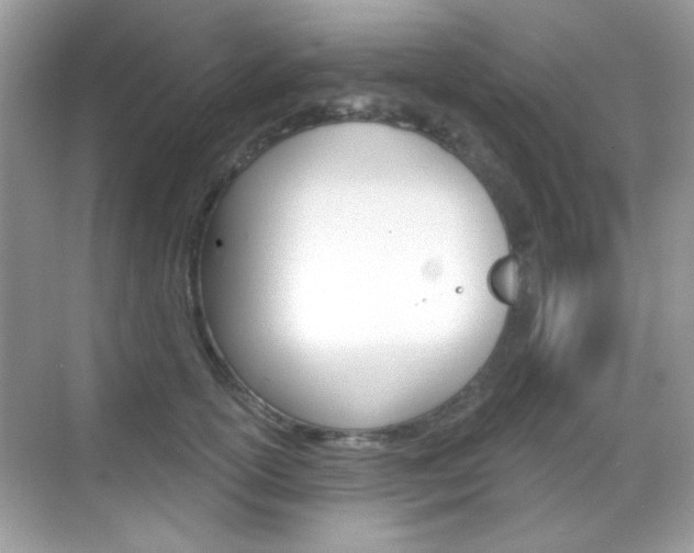 X0000069360754200605120916