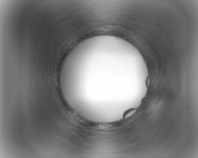 X0000069360758200605120916