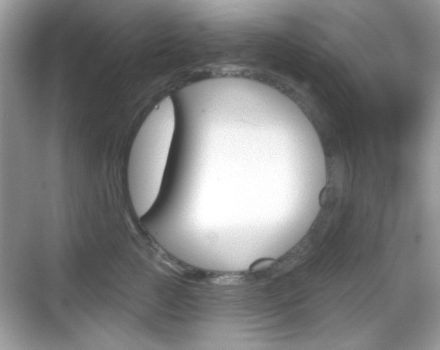 X0000069360761200605120916