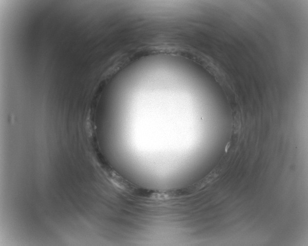 X0000069360764200605120916
