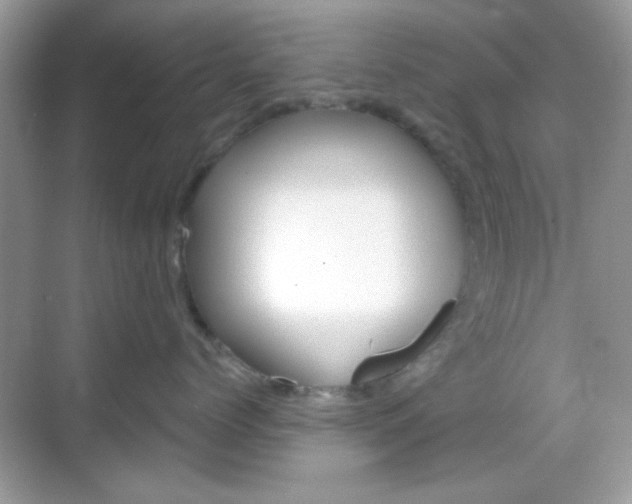 X0000069360768200605120916
