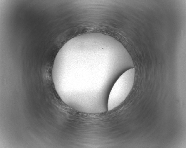 X0000069360770200605120915
