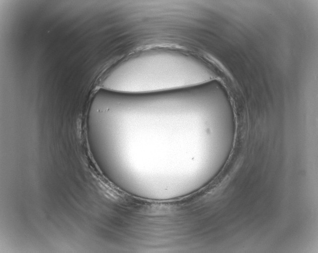X0000069360777200605120915