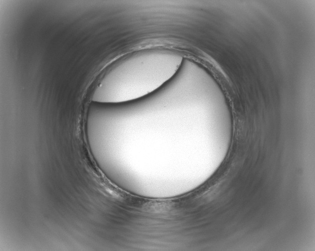 X0000069360778200605120915