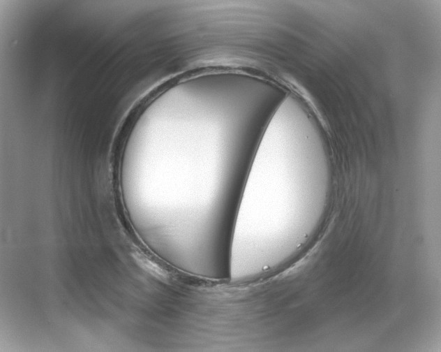 X0000069360779200605120915