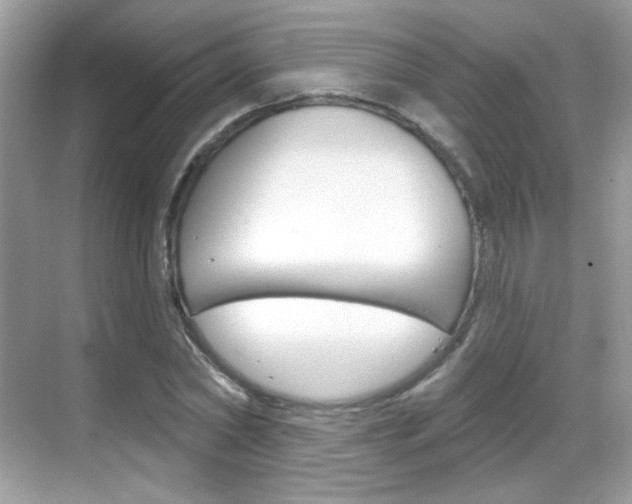 X0000069360782200605120915