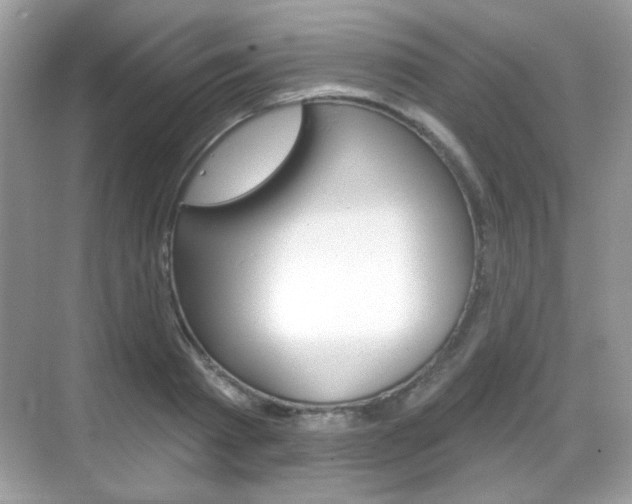 X0000069360793200605120915