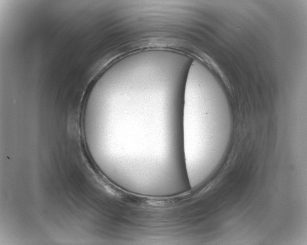 X0000069360794200605120915