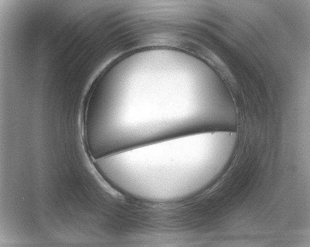 X0000069360796200605120915