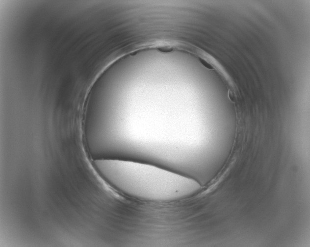 X0000069360810200605120915